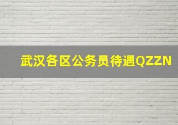 武汉各区公务员待遇QZZN