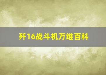 歼16战斗机万维百科