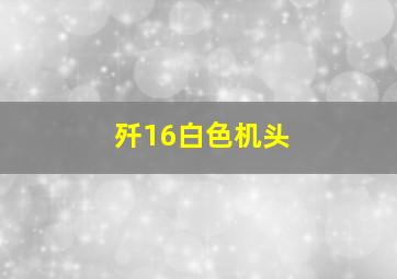 歼16白色机头