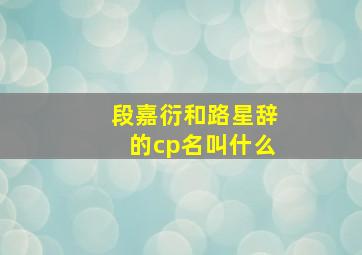 段嘉衍和路星辞的cp名叫什么