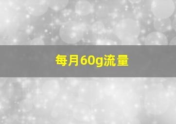 每月60g流量