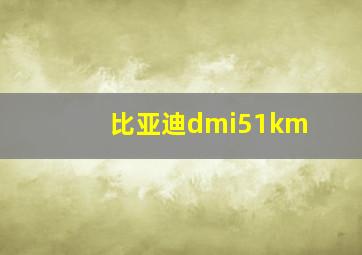 比亚迪dmi51km