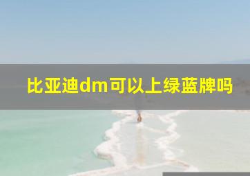 比亚迪dm可以上绿蓝牌吗