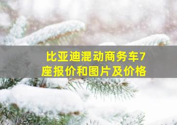 比亚迪混动商务车7座报价和图片及价格