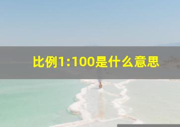 比例1:100是什么意思