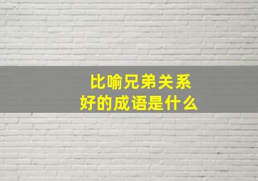 比喻兄弟关系好的成语是什么