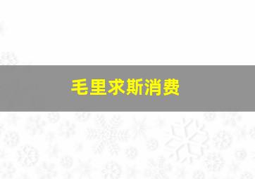 毛里求斯消费