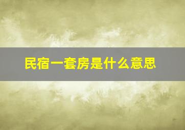 民宿一套房是什么意思