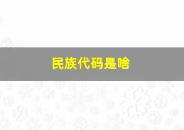 民族代码是啥