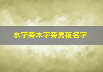 水字旁木字旁男孩名字