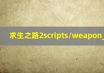 求生之路2scripts/weapon_rifle