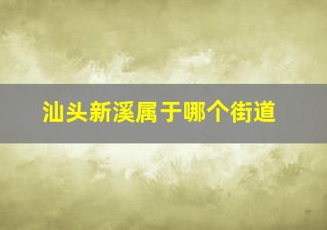 汕头新溪属于哪个街道