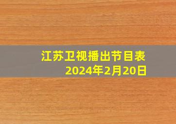 江苏卫视播出节目表2024年2月20日