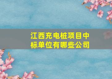 江西充电桩项目中标单位有哪些公司