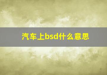 汽车上bsd什么意思