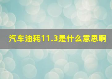 汽车油耗11.3是什么意思啊