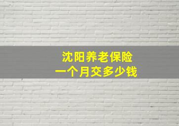 沈阳养老保险一个月交多少钱