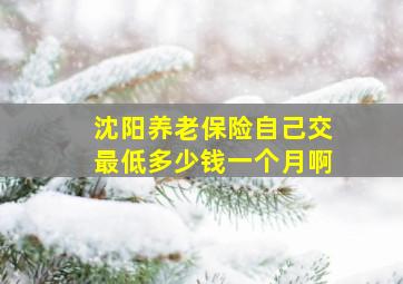 沈阳养老保险自己交最低多少钱一个月啊