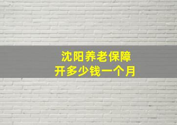 沈阳养老保障开多少钱一个月