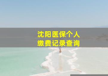 沈阳医保个人缴费记录查询