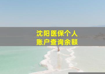 沈阳医保个人账户查询余额