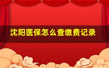 沈阳医保怎么查缴费记录