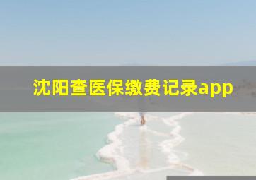 沈阳查医保缴费记录app