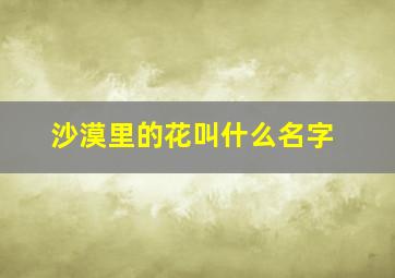 沙漠里的花叫什么名字