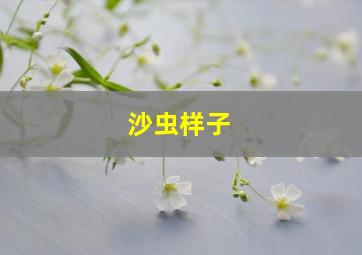 沙虫样子