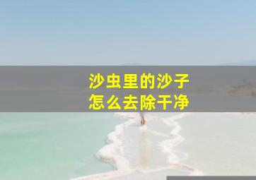 沙虫里的沙子怎么去除干净