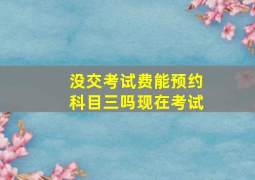 没交考试费能预约科目三吗现在考试