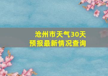 沧州市天气30天预报最新情况查询