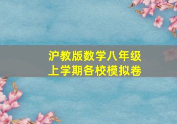 沪教版数学八年级上学期各校模拟卷