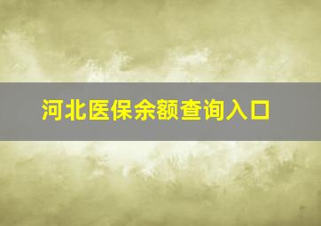 河北医保余额查询入口