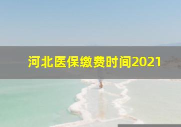 河北医保缴费时间2021