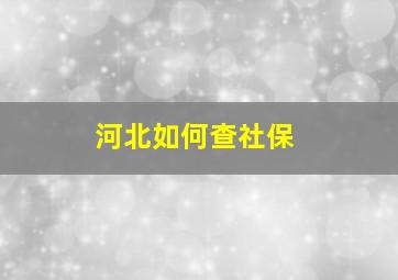 河北如何查社保