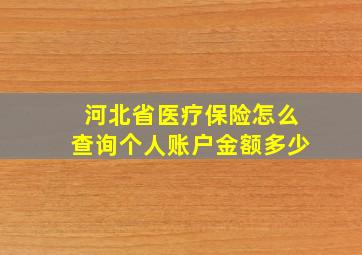 河北省医疗保险怎么查询个人账户金额多少