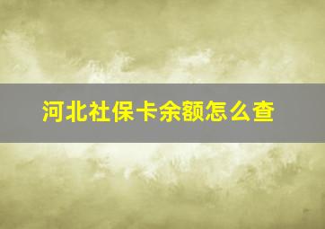 河北社保卡余额怎么查