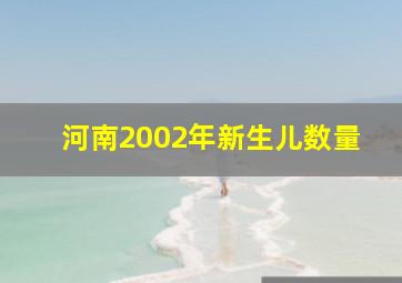 河南2002年新生儿数量