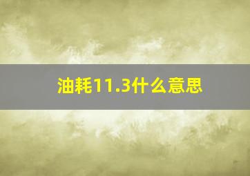 油耗11.3什么意思