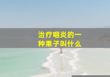 治疗咽炎的一种果子叫什么