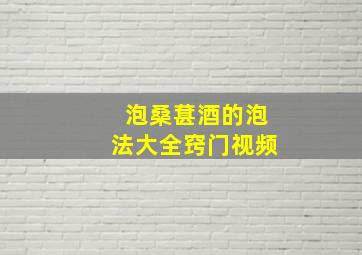 泡桑葚酒的泡法大全窍门视频