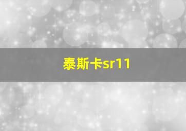 泰斯卡sr11