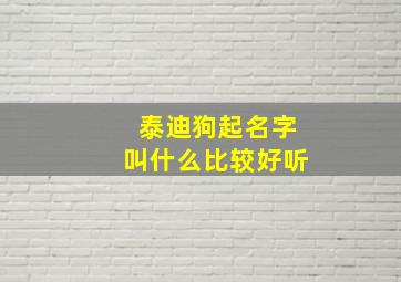 泰迪狗起名字叫什么比较好听