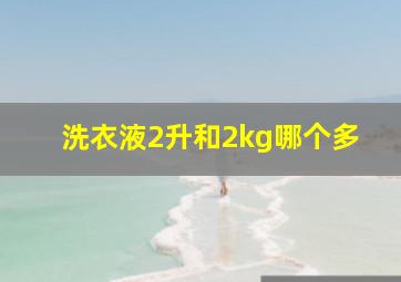 洗衣液2升和2kg哪个多