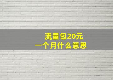 流量包20元一个月什么意思