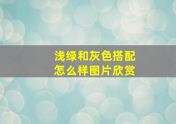 浅绿和灰色搭配怎么样图片欣赏