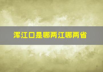 浑江口是哪两江哪两省