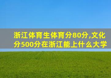 浙江体育生体育分80分,文化分500分在浙江能上什么大学