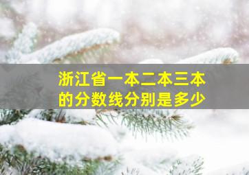 浙江省一本二本三本的分数线分别是多少